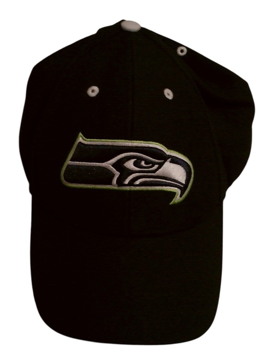 NFL Other - NFL Black and White Interior Panel Baseball Cap
